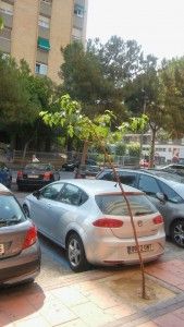 Jardines 1