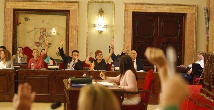 El PSOE logra la aprobación de sus ocho mociones, tres de ellas con el apoyo unánime del Pleno
