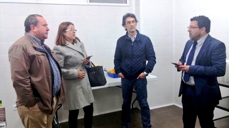 El PSOE denuncia graves deficiencias en el comedor del CEIP Pintor Pedro Cano de El Palmar