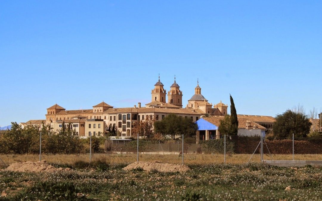 El PSOE exige respuestas sobre la licencia de actividad de los siete edificios ilegales de la UCAM