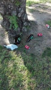 Restos del botellón, en el jardín del Barrio del Pilar, en Alquerías.