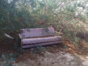 IMG-20160831-WA0011