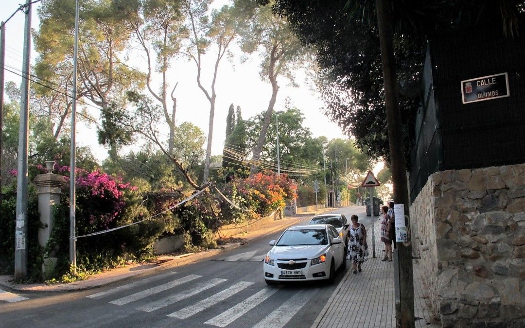 El PSOE pide la intervención del Ayuntamiento en La Alberca ante el deterioro de viviendas catalogadas y la caída de pinos centenarios