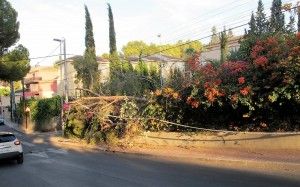 La acera de la calle La Paz aún no está despejada.