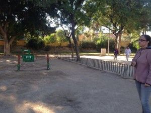 img-20161112-wa0013