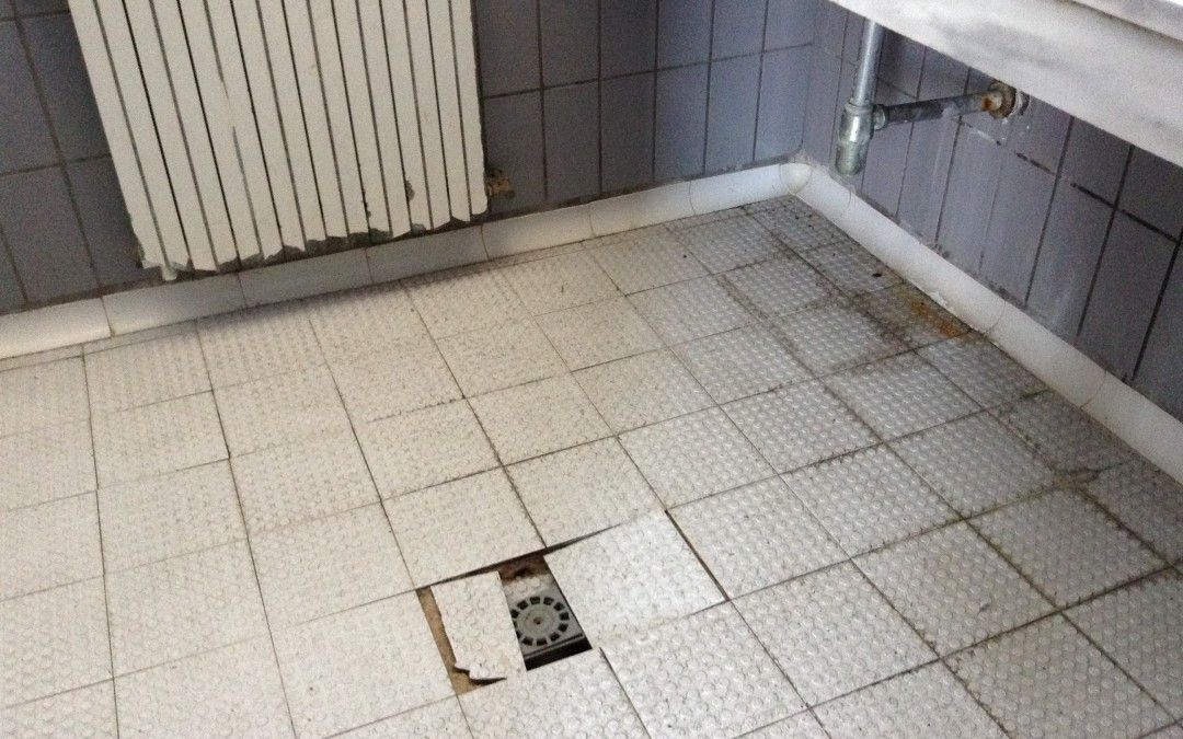 El PSOE reclama a Coello una actuación urgente para el polideportivo de Guadalupe que se encuentra en un estado lamentable