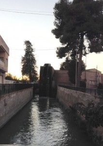 rueda-n%cc%83ora2