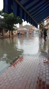 zarandona
