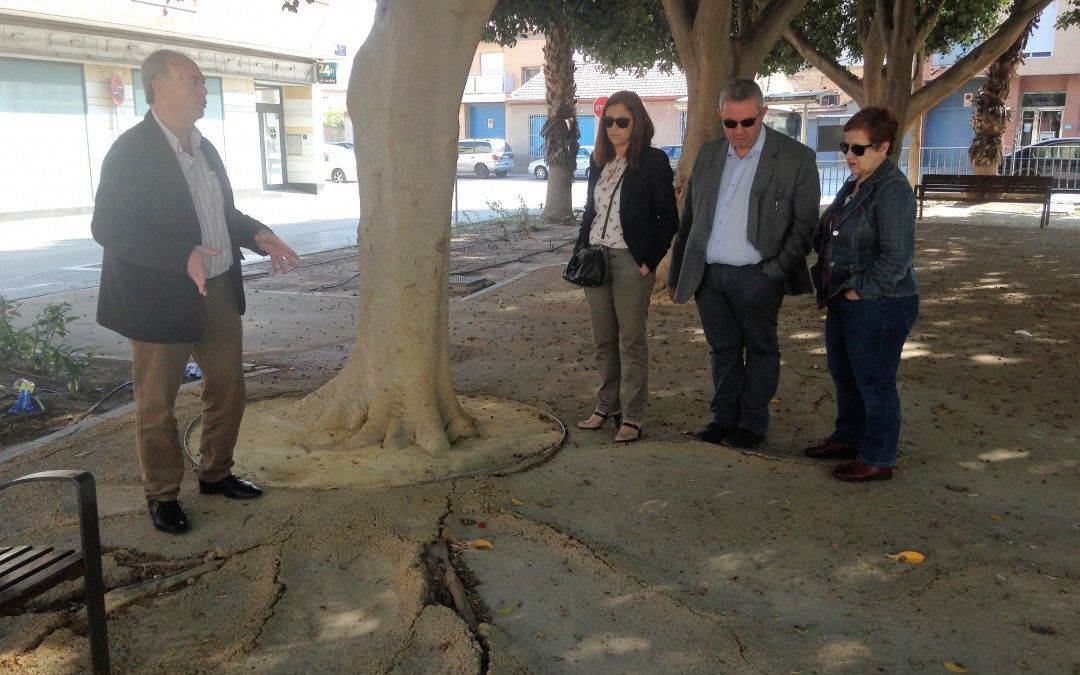 El PSOE reclama que se agilicen las obras de pedanías como el jardín de San Ginés, que lleva años a oscuras y con el pavimento levantado