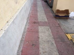 IMG_3140