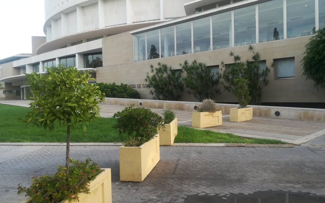 El PSOE exige al gobierno de Ballesta que reponga los maceteros retirados de las aceras de Ronda Sur