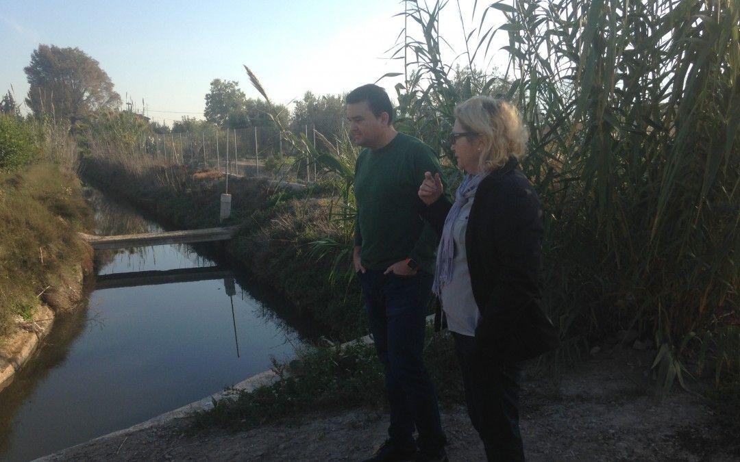El PSOE denuncia el estado de suciedad y malos olores de las acequias de La Azacaya