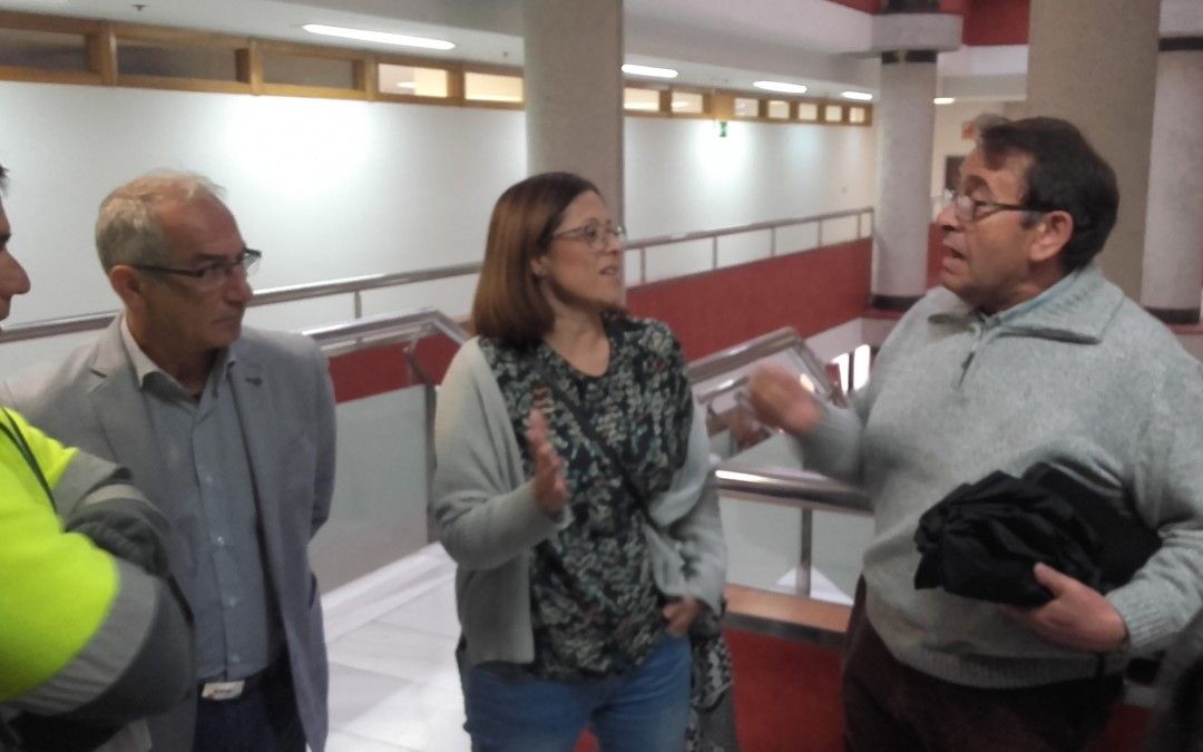 El PSOE presenta otra alegación insistiendo en que se subrogue a los 55 trabajadores de la empresa del alumbrado público