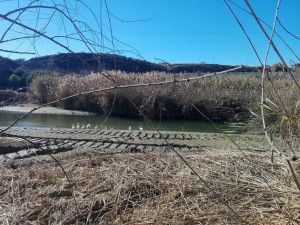 IMG_20180116_131355