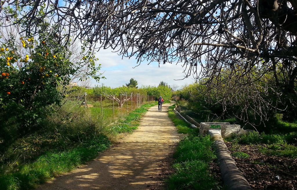 El PSOE propone un mapa de vías saludables por caminos de huerta, carriles y senderos de todo el municipio para la práctica del deporte