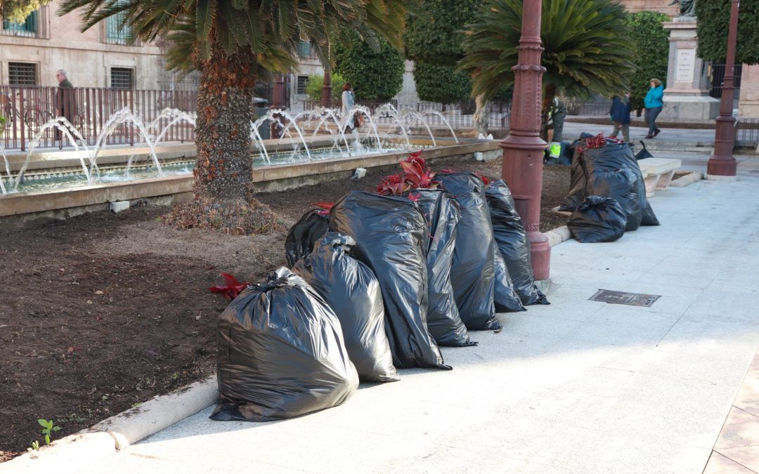 El PSOE acusa al PP de gastar miles de euros en flores que pocas semanas después tiran en buen estado a la basura