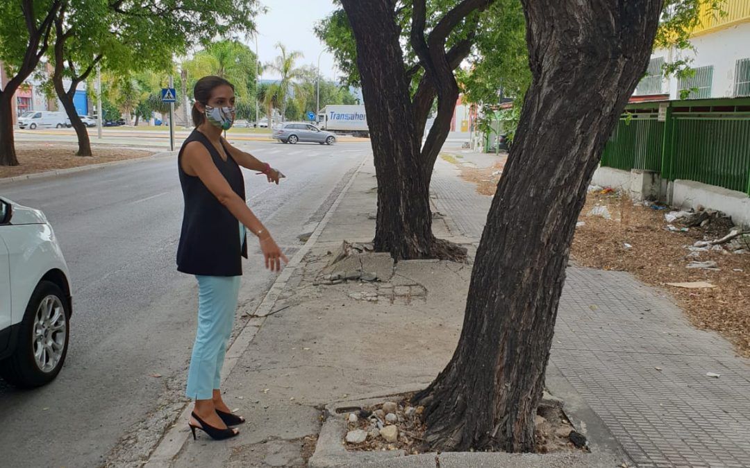 El PSOE insta a preservar el polígono Oeste con las obras prometidas para que siga siendo un referente empresarial a nivel nacional